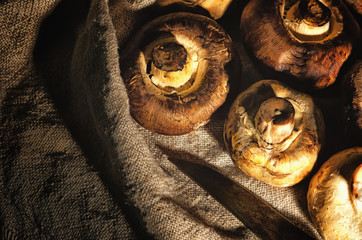 Fresh wild mushrooms lying on the bag
