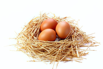eggs on white background