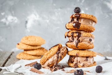 Homemade ice cream sandwich