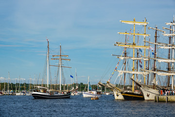 Segelschiffe auf der Hansesail in Rostock.