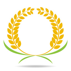 Rice organic Circle paddy grain products and healthy food design vector