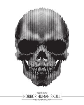 Vector Human Horror Skull Art Illustration Isolated on White Background