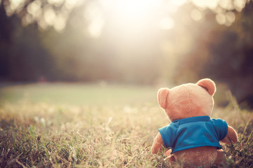 Close up lovely brown teddy bear sitting on grass field with lens flare. Retro and vintage style