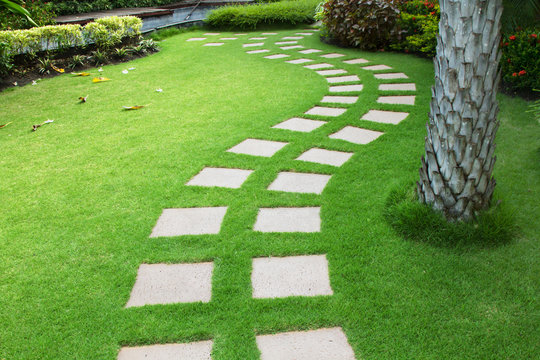 Pathway at backyard garden