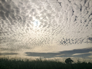 Silhouette of cloudy landscape showing dark sky cover with clouds and sunset / sunrise in background with grass and trees in shade