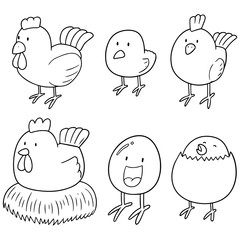 vector set of chicken and egg