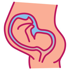 Pregnant woman belly with embryo. Thin line linear vector illustration