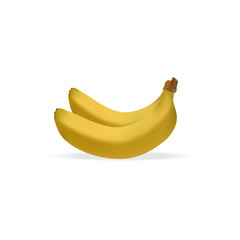 Realistic illustration of bunch of bananas isolated on white background