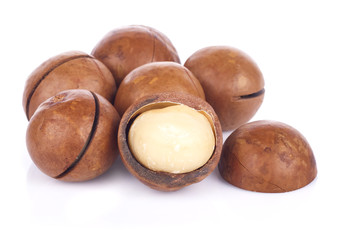 Macadamia nut on white background