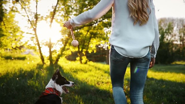 Beautiful brunette playing with dog in nature during sunset