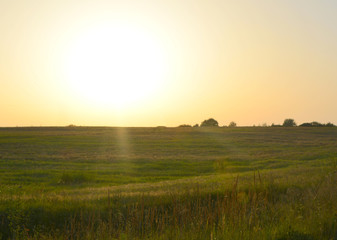 Fototapeta premium Beautiful evening countryside landscape: big bright sun in the sky at sunset over the field, nature, wilderness.
