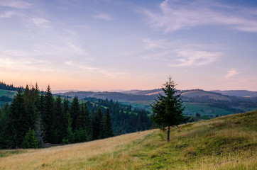 Obraz premium Background with Ukrainian Carpathian Mountains during the sunset in the Pylypets