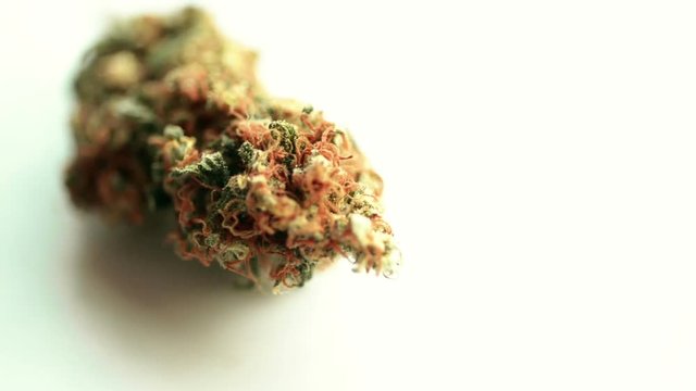 Marijuana bud on rotating base over white background - macro footage