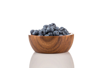 blueberries isolated close up