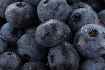 blueberries with water drops close up
