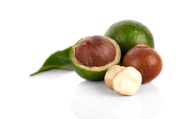 Macadamia nut on white background