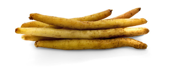 finger root on white background