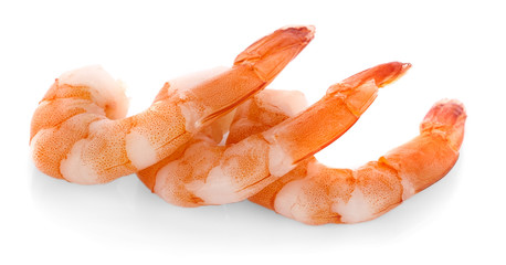 shrimps on a white background