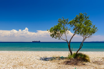 Beautiful summer landscape. Pebble beach with a lonely tree on a background of blue sea, Samos island, Greece