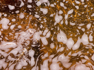 Foamy creek, northern Arizona