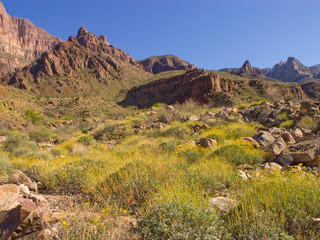 Fototapeta na wymiar Hualapai lands in Grand Canyon, Arizona