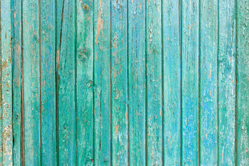 Fototapeta na wymiar Bright green wooden background with peeling paint and vertical boards