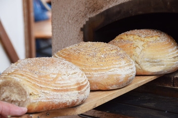 fresh baked loaves of bread with grains