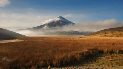 Tuinposter View of Limpiopungo lagoon with volcano Cotopaxi in the background on a cloudy morning - Ecuador © alejomiranda