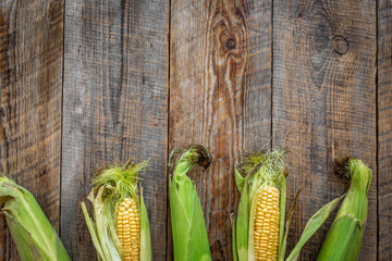 Fresh corn on cobs on rustic wooden table top view copyspace