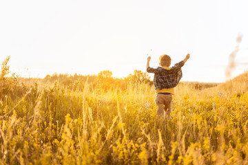Joyful kid feels freedom while walking on grassland