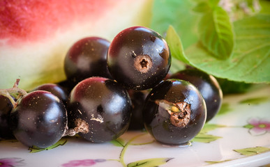 Ripe berries of a black currant. Macro