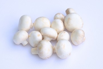 Fresh mushrooms on a white background.