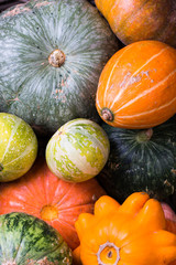 Varieties of pumpkins and squashes collection.