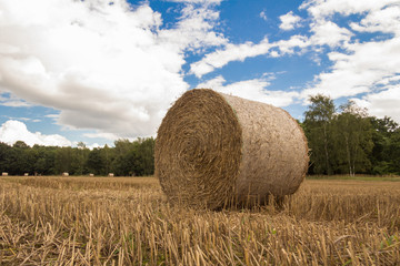 Strohballen
