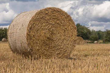 Strohballen