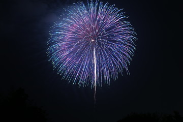Fototapeta na wymiar Japanese Fireworks