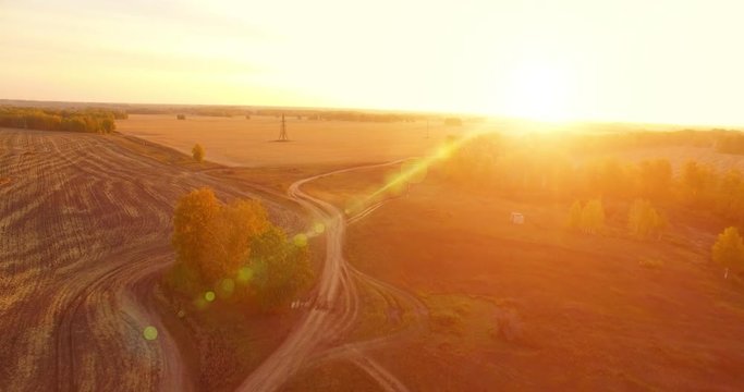 UHD 4K aerial view. Mid-air flight over rural dirt road. Yellow rural field at sunny autumn evening. Green trees on horizon. Horizontal movement.