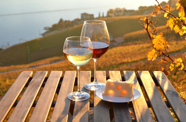 Wine and cheese. Lavaux region at Geneva lake, Switzerland