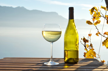 Wine and grapes. Lavaux region at Geneva lake, Switzerland