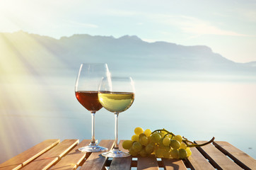Wine and grapes. Lavaux region at Geneva lake, Switzerland
