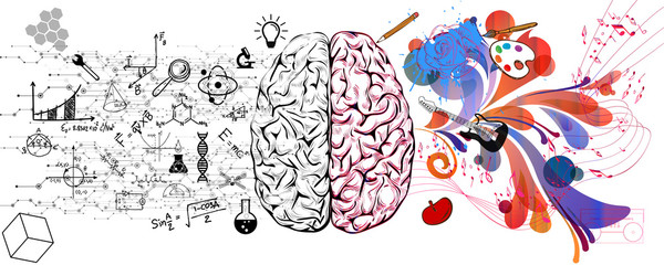 Brain left analytical and right creative hemispheres concept vector illustration.