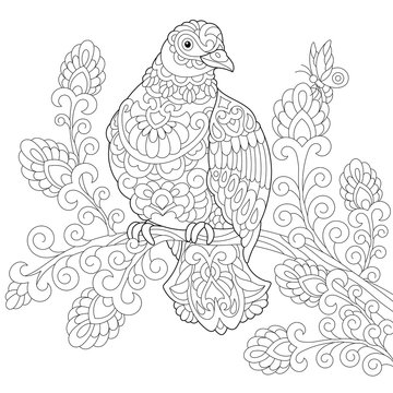 Coloring page of dove (pigeon) bird. Freehand sketch drawing for adult antistress colouring book with doodle and zentangle elements.