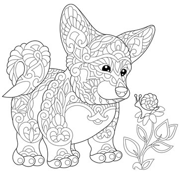 Coloring page of cardigan welsh corgi puppy. Freehand sketch drawing for adult antistress colouring book with doodle and zentangle elements.