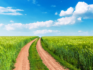 Wheat field, winding road and blue sky with clouds