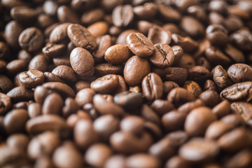 Coffee grains close-up