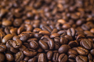 Coffee grains close-up