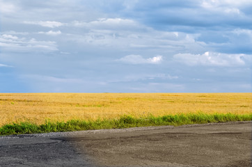 Fototapeta na wymiar Background landscape with field and sky road