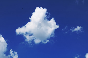 Fototapeta na wymiar Cloud Against The Blue Sky