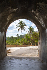 Obraz premium view of palm trees from inside old tunnel