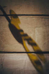 Texture